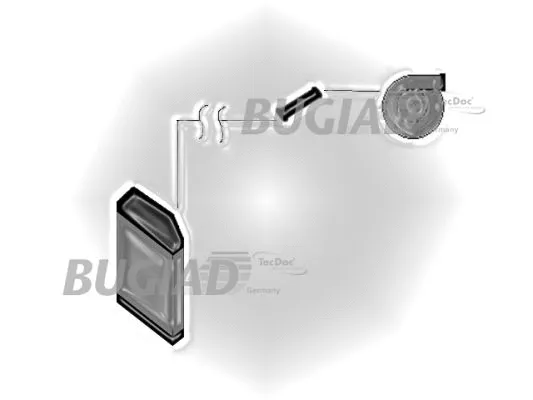 Charge Air Hose