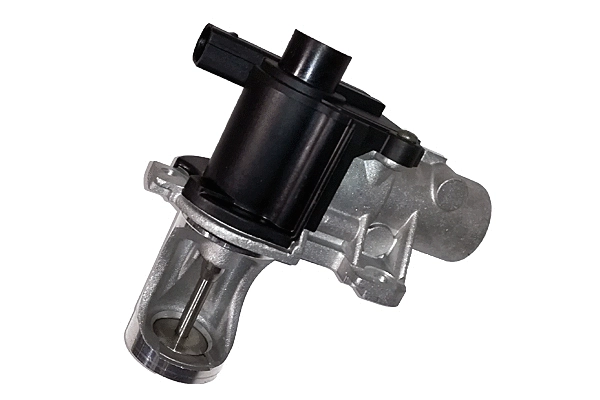 EGR Valve (BGR13024)
