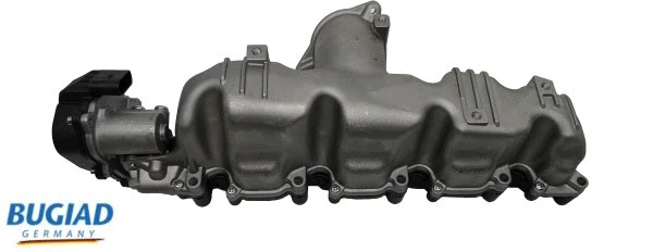 Intake Manifold Module (BIM17010)