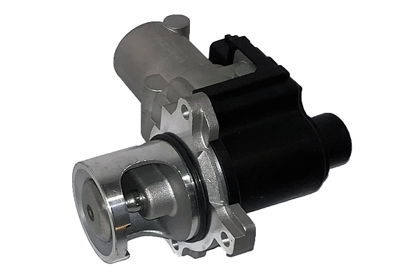 EGR Valve (BGR13025)