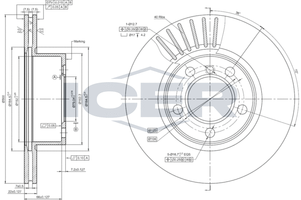 Brake Disc (78BD4666-2)