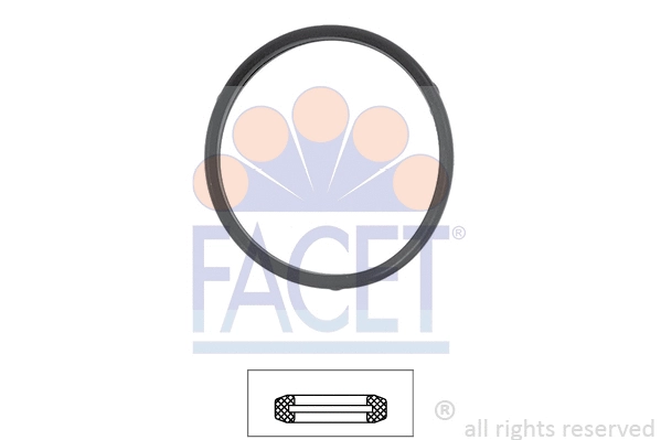 Seal, thermostat (7.9532)