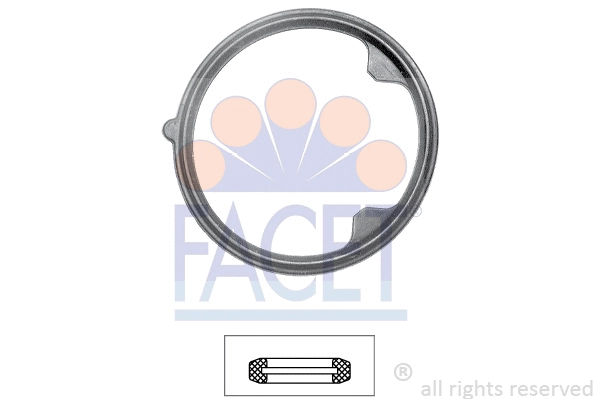 Seal, thermostat (7.9627)