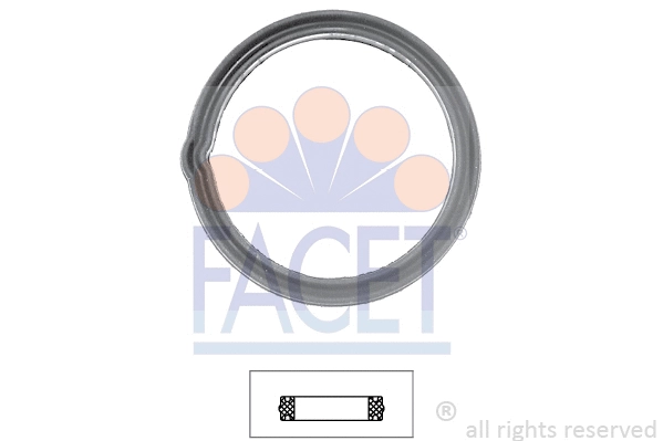 Seal, thermostat (7.9608)