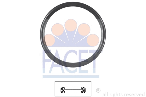 Seal, thermostat (7.9606)