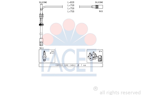 Ignition Cable Kit (4.9489)