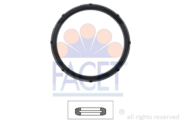 Seal, thermostat (7.9730)