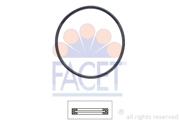 Seal, thermostat (7.9705)