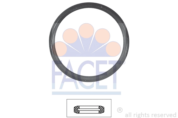 Seal, thermostat (7.9547)