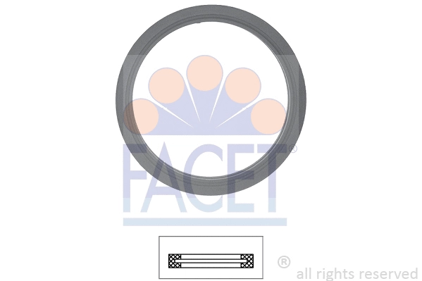 Seal, thermostat (7.9585)