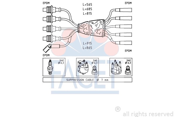 Ignition Cable Kit (4.8491)