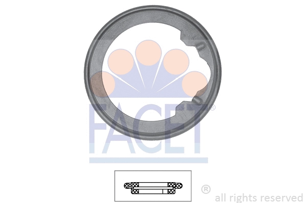 Seal, thermostat (7.9628)