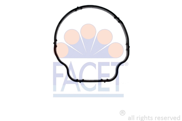 Seal, thermostat (7.9707)