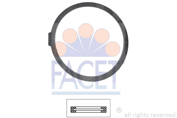 Seal, thermostat (7.9546)