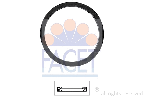 Seal, thermostat (7.9560)