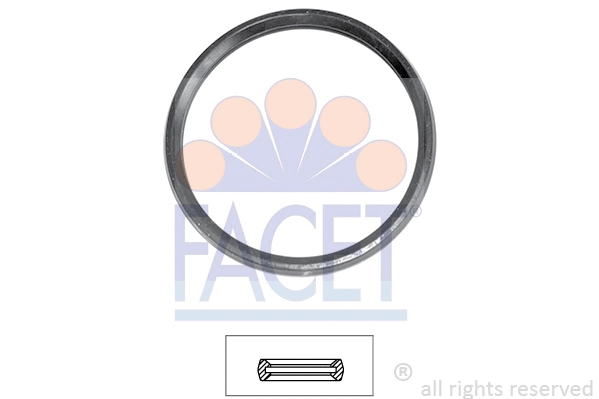 Seal, thermostat (7.9679)