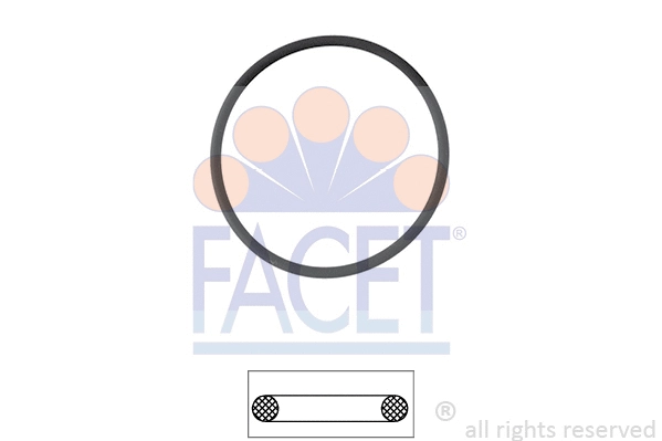 Seal, thermostat (7.9550)