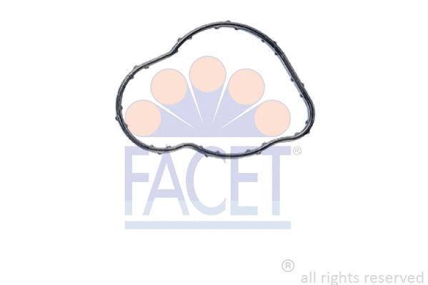 Seal, thermostat (7.9735)