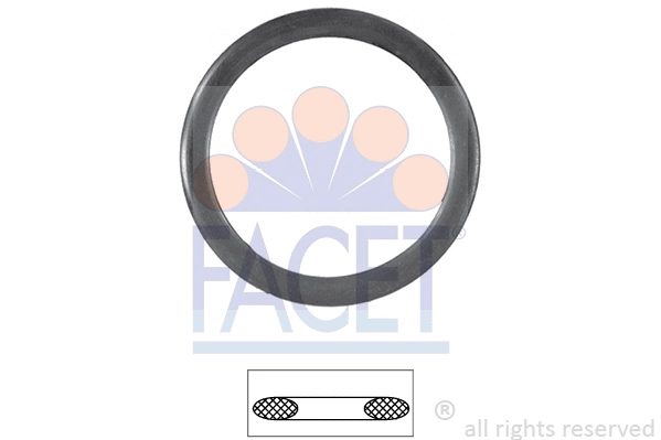 Seal, thermostat (7.9535)