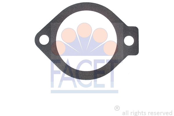 Seal, thermostat (7.9691)