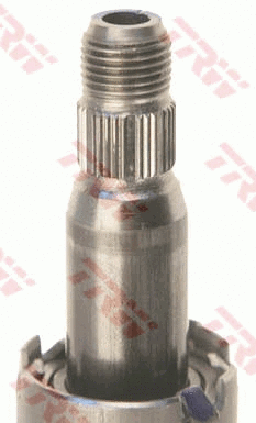 Steering Column
