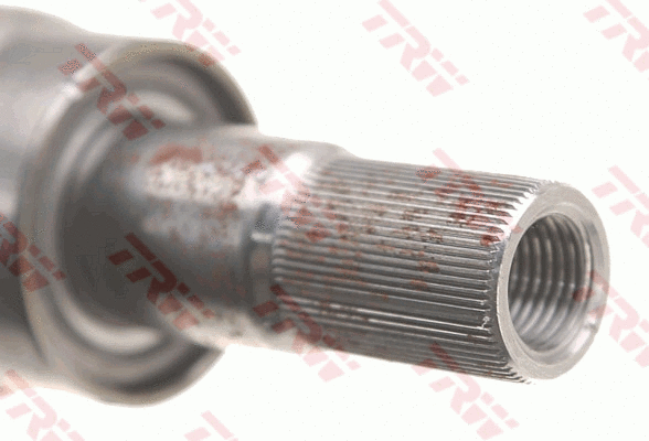 Steering Column (JCR289)