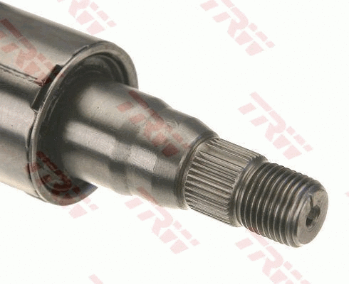 Steering Column