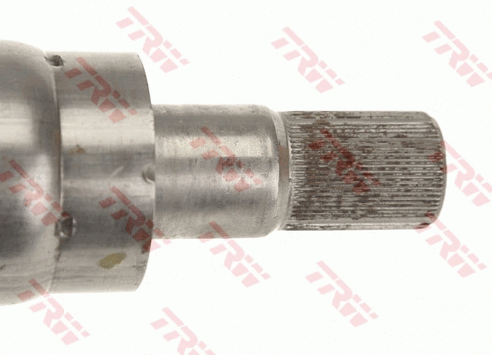 Steering Column