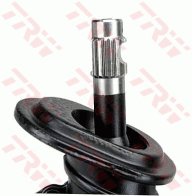 Steering Gear