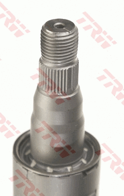 Steering Column