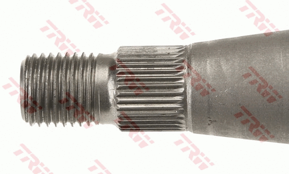Steering Column