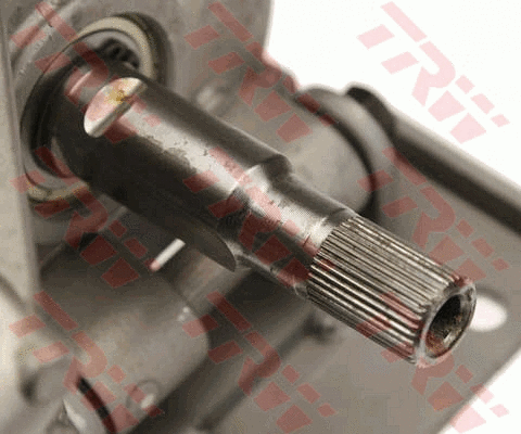 Steering Column