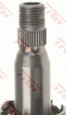 Steering Column