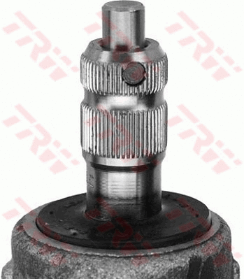 Steering Gear