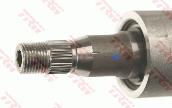 Steering Column