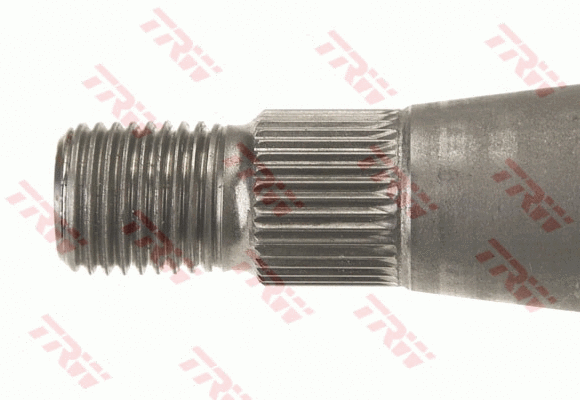 Steering Column