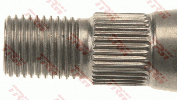 Steering Column