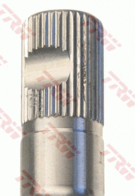 Steering Column