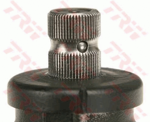 Steering Gear