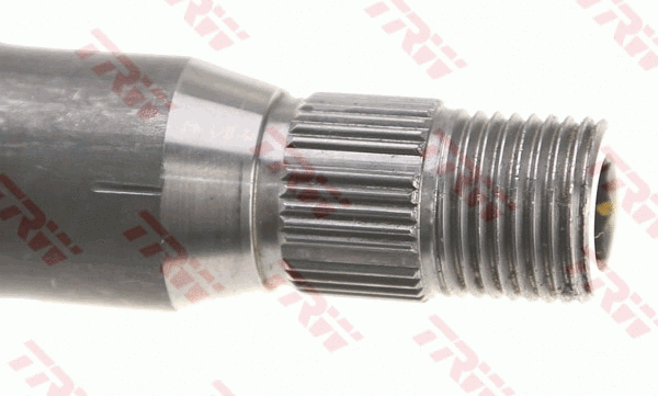 Steering Column