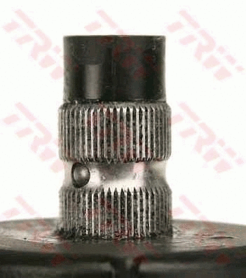 Steering Gear