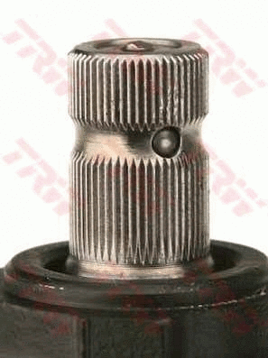 Steering Gear