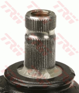 Steering Gear