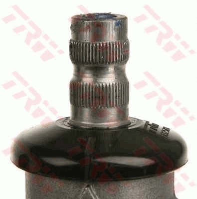 Steering Gear