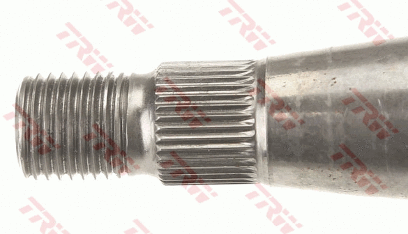 Steering Column
