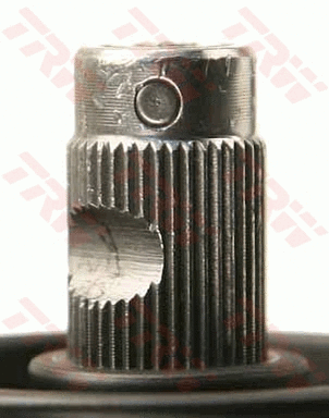 Steering Gear