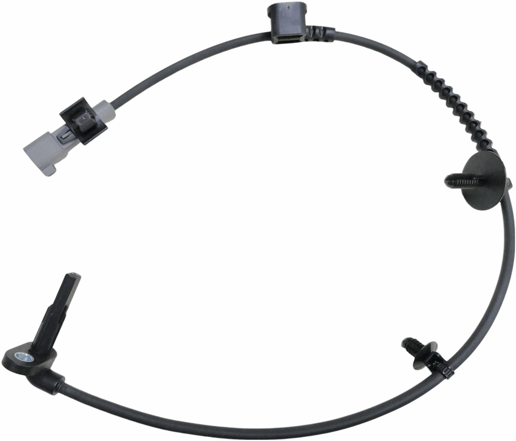 Sensor, wheel speed (GBS7088)