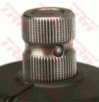 Steering Gear