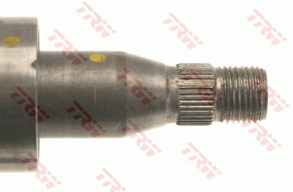 Steering Column (JCR242)