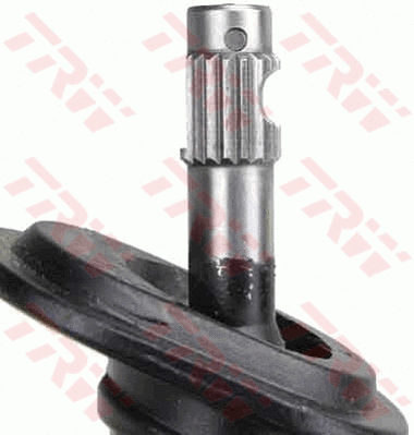 Steering Gear